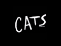 Cats le musical  mogador  acte i