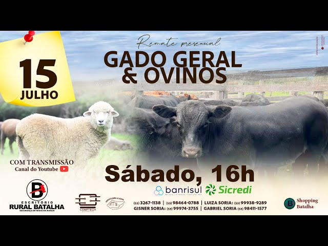 REMATE DE GADO GERAL & OVINOS - ESCRITÓRIO RURAL BATALHA - 13/08