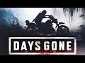 Прохождение Days Gone - Лучше зажечь свечку - стрим #6