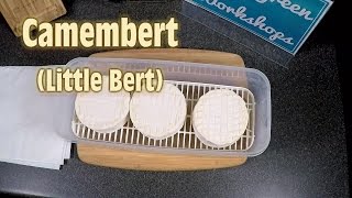 Little Bert (aka Camembert Style Cheese)