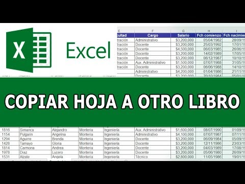 Vídeo: Com puc copiar ràpidament una pestanya a Excel?