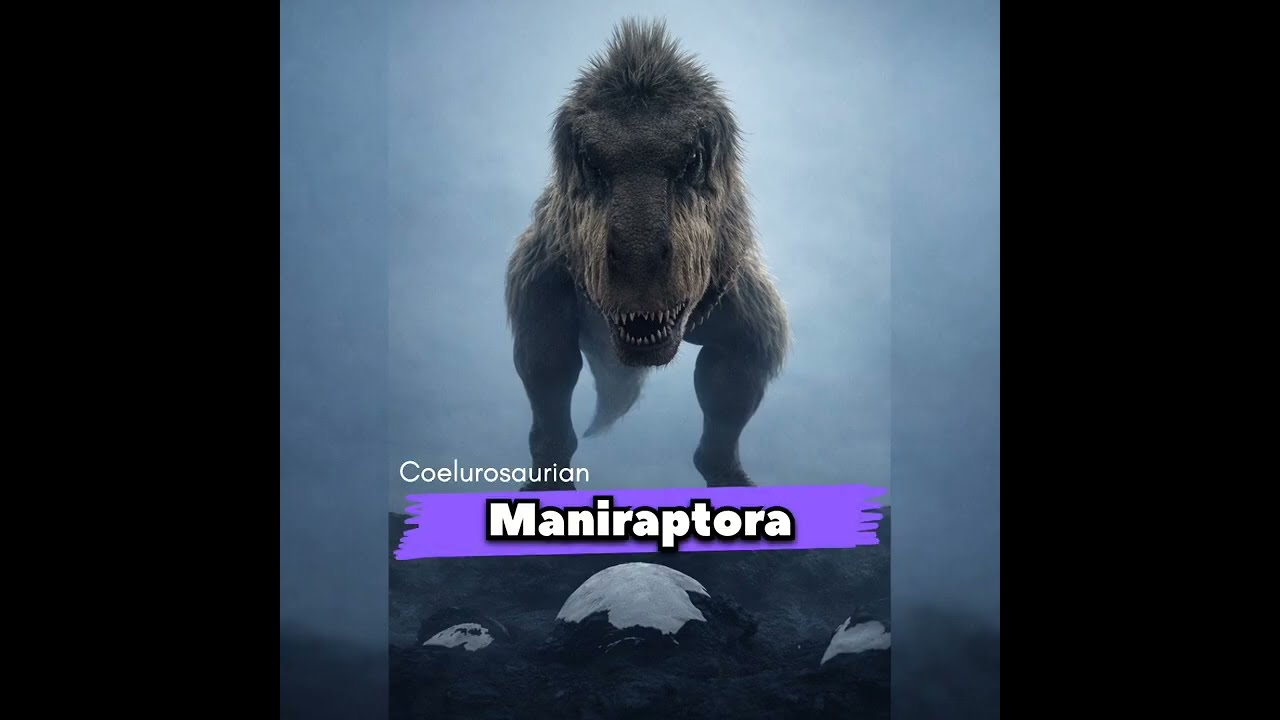 Maniraptora is a clade of coelurosaurian dinosaurs which includes birds and non-avian dinosaurs.