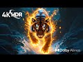 4K HDR 60FPS OLED Test | Dolby Vision™ Ultra HD Masterpiece (4K/8K TV)