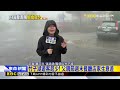 最新》陽明山午後仍有風雨！遊客看嘸金針花嘆可惜@newsebc