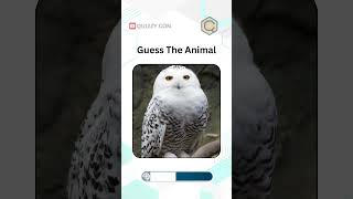 Animal Guessing Game -110 | Can you Guess these Animal Names | Animal Names |#educationalgames #quiz