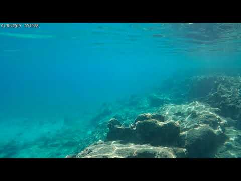 Cyprus snorkeling 2020