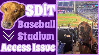 Service Dog Access Issue at a Baseball Game