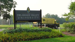 Treating Beech Leaf Disease at Delaware Valley University