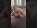 Daisy’s day off