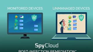 What is SpyCloud Compass? screenshot 3