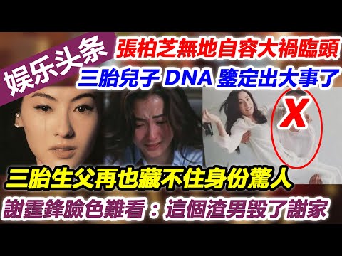 張柏芝無地自容大禍臨頭，三胎兒子DNA鑒定出大事了，三胎生父再也藏不住身份驚人，謝霆鋒臉色難看：就是這個渣男毀了謝家