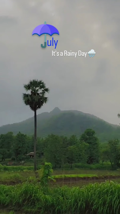 July it's a Rainy Day 🌧 #nature #youtubeshorts #shortsfeed #Madhavi_123