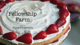 Fellowship Farm Audio Book 14 - Flying Fitzgeralds screenshot 4