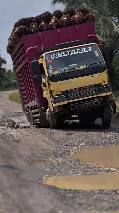 STORY WA TRUK 30 DETIK‼️#trukmania #trukmbois #trukoleng #drivermuda #shorts