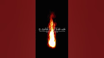 القارئ: محمد اللحيدان ☕ | سورة: يس | الآية: 63 | (هَٰذِهِ جَهَنَّمُ الَّتِي كُنتُمْ تُوعَدُونَ)