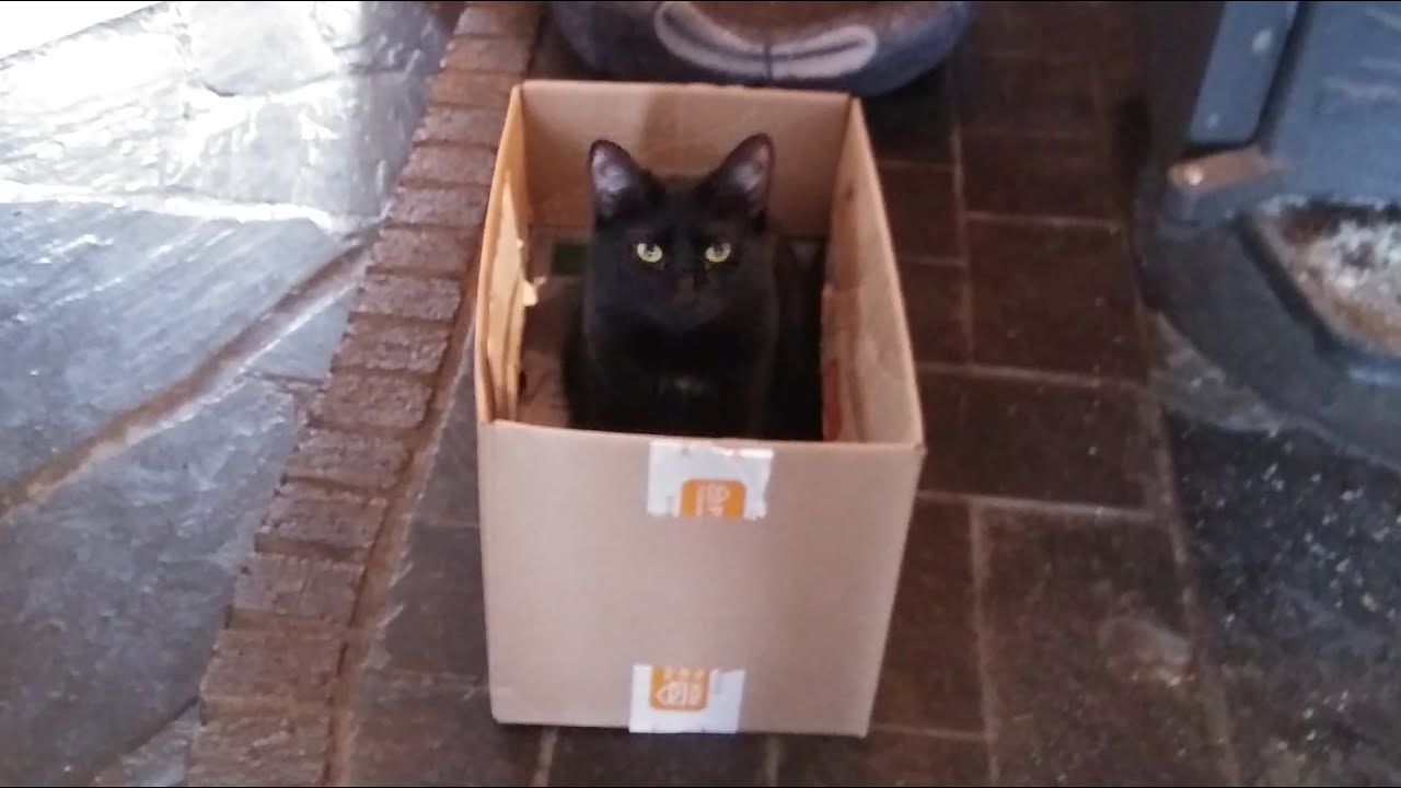 living in a box, by the band living in a box, from their album living in a box