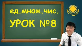 Поклонники Димаша учат казахский язык! / Урок №8 / Dimash Dears