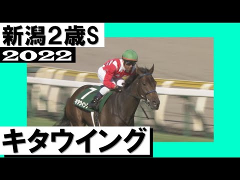 【未使用】キタウイング キャップ 2022 新潟2歳ステークス / 2023 フェアリーステークス 勝利記念 競馬 連戦連勝！キタウイングが重賞初制覇【新潟2歳ステークス2022】 - YouTube