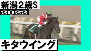 【未使用】キタウイング キャップ 2022 新潟2歳ステークス / 2023 フェアリーステークス 勝利記念 競馬 連戦連勝！キタウイングが重賞初制覇【新潟2歳ステークス2022】 - YouTube