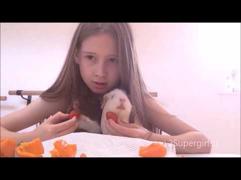 Feeding my  guinea pigs