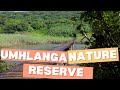 Exploring the Hidden Paradise of Umhlanga Lagoon Nature Reserve