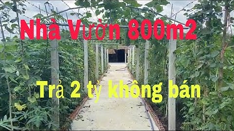 Nhà Vườn Củ Chi rộng 800m2 - Chưa Có Thổ Cư - Khách Trả 2 Tỷ Không Bán.