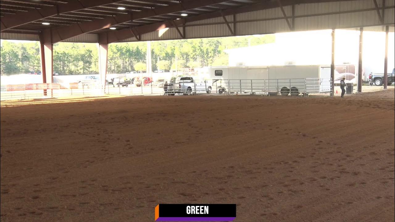 2024 Florida Reining Classic Covered Arena Sunday February 25 YouTube