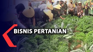Bisnis Pertanian Cocok Di Saat Pandemi Covid19