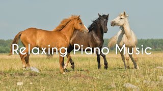 [Try This For 10 Mins] Relaxing Piano Music ~ Beautiful Piano Music for Stress Relief and Meditation