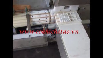 Máy xiên thịt nướng tự động – Máy xiên thịt heo. thịt bò, thịt cừu, mực, bạch tuột