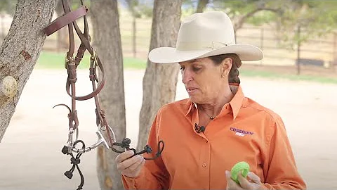 Julie Goodnight's Rope Rein Clips