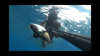 Pesca submarina de otoño, esperas y grandes salmonetes.