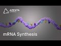 Custom mrna production via gene synthesis and in vitro transcription