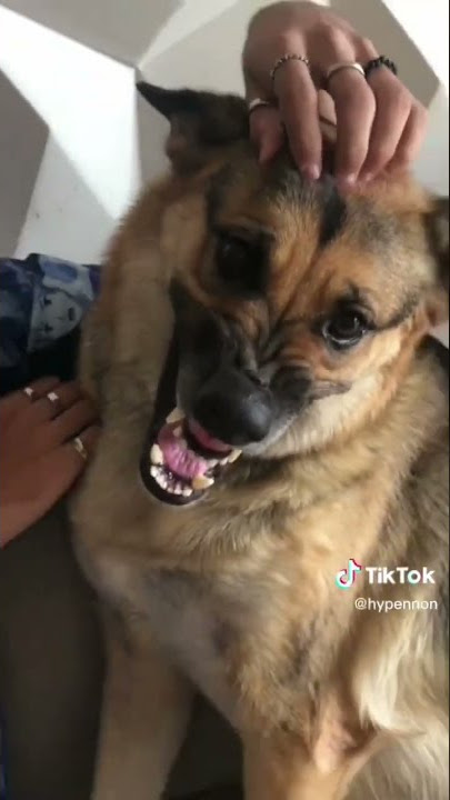 a safira e sapatão 😂🤣😂🤣