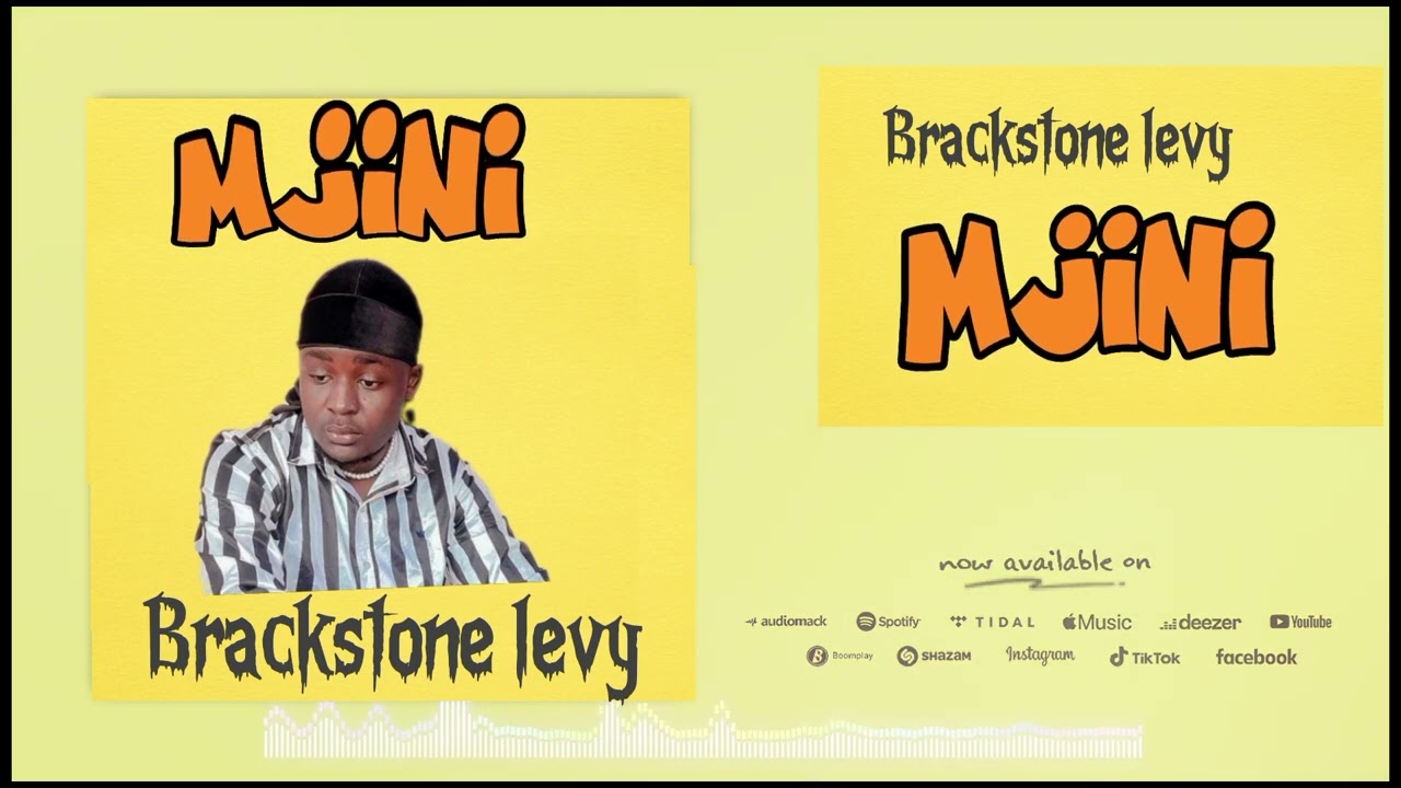 Brackstone levy   mjini official music audio