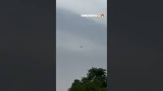 #pigeon #kabootar #500subcribers #pigeon #500subcribers 10k subscribe 👍#10kfollow #pigeon #kabootar