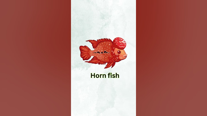 Can You Guess These Funny Word Combos?