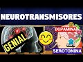 TODO SOBRE LOS NEUROTRANSMISORES | CLASIFICACIÓN Y FUNCIONES |