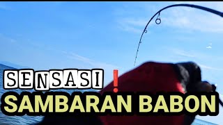 Mancing dapat ikan besar pinggir pantai joran melengkung parah.