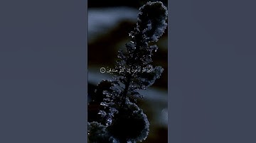 سورة الأنعام { ٣٩ ــ ٤١ } #ياسر_الدوسري انشر تؤجر #القرآن_الكريم