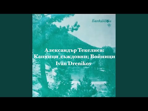 Видео: „Войници“от Иван Грозни