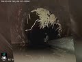 Drain cleaning and inspection