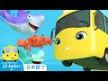 バスターあかちゃんザメ | 童謡と子供の歌 | 教育アニメ -リトルベイビ | Little Baby Bum Japanese