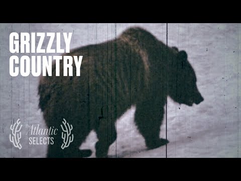 Grizzly Bears Saved My Life