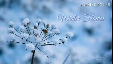 - YOUNHA & RM (a.k.a KIM NAMJOON) 'WINTER FLOWER' 10D AUDIO.