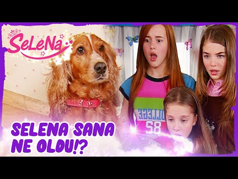 Kızlar, köpek olan Selena'yı görüyor!