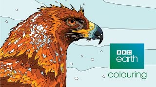 BBC Earth Colouring App screenshot 1