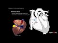 Heart Anatomy Persian آموزش آناتومی قلب با دوبله فارسی 