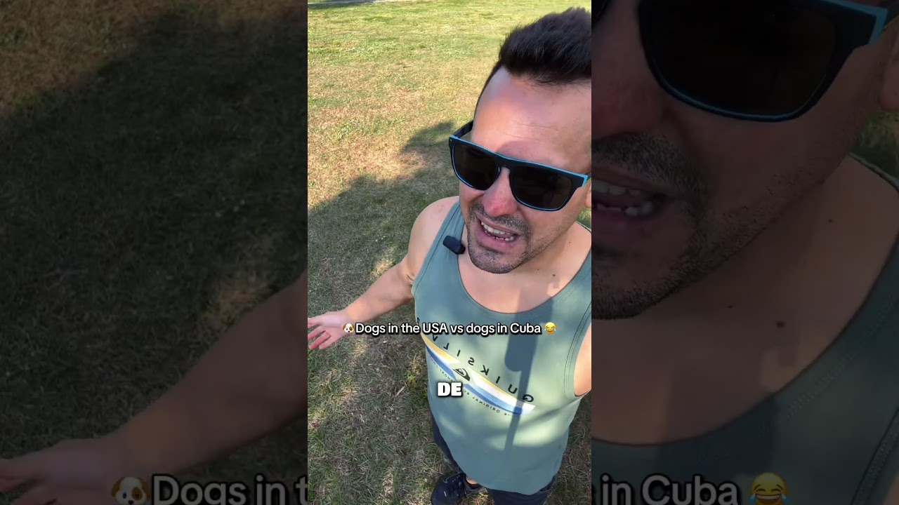 Dog 🇺🇸 v/s 🇨🇺 parte 2 🤣 