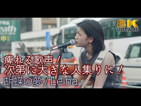 【 8K 】痺れる歌声！次第に大きな人集りに！　胡蝶の夢 / Leina 8K映像